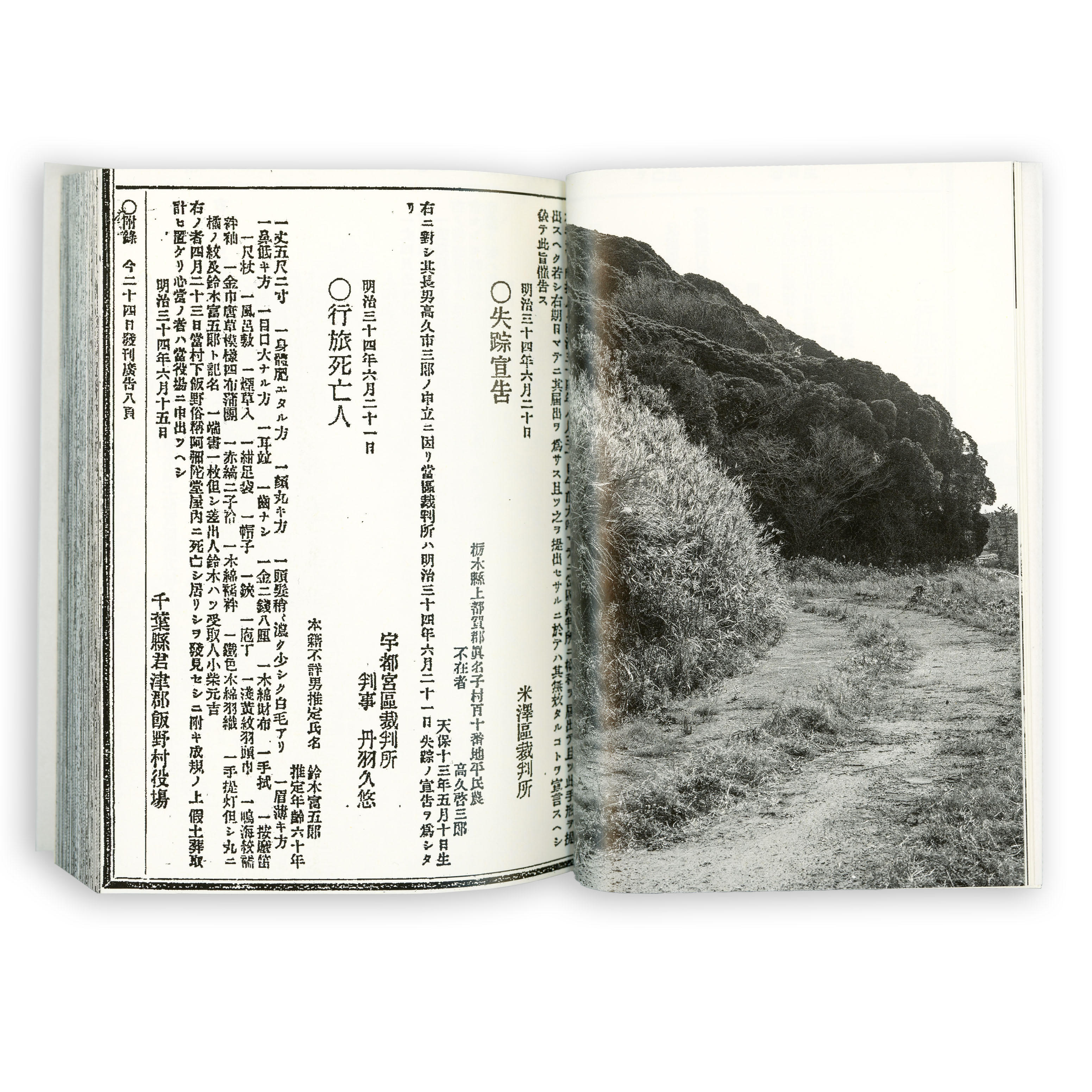 アノニマスケイプ｜イニュブック｜株式会社イニュニック