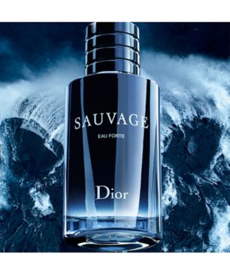 ディオール（Dior） ソヴァージュ オー フォルト 通販 | 【ISETAN
