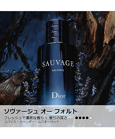 ディオール（Dior） ソヴァージュ オー フォルト 通販 | 【ISETAN