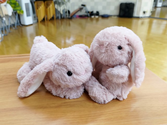 ニトリのうさぬいぐるみ。。。│好き勝手しほーだい！