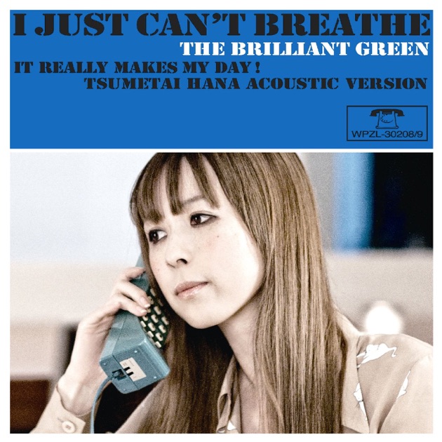 complete single collection '97-'08 - the brilliant greenのアルバム