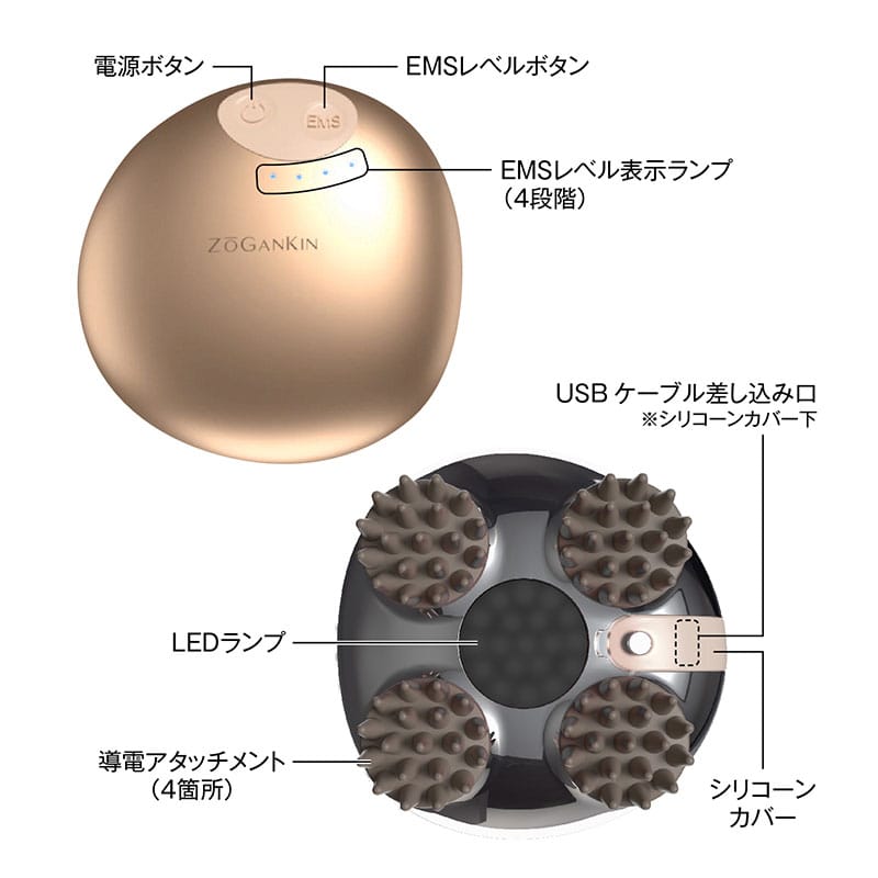 ゾーガンキンスカルプ本体セット | イトーオンラインショップ