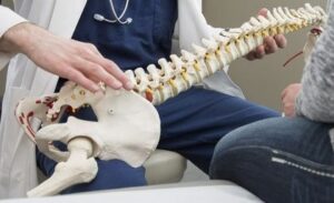 カイロプラクティックとは | 一般社団法人 日本カイロプラクターズ協会