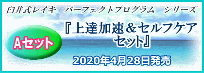 臼井式レイキ 自宅学習教材 指導者マニュアル『プロが行うレイキ療法