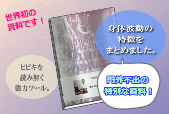 臼井式レイキ 自宅学習教材 指導者マニュアル『プロが行うレイキ療法