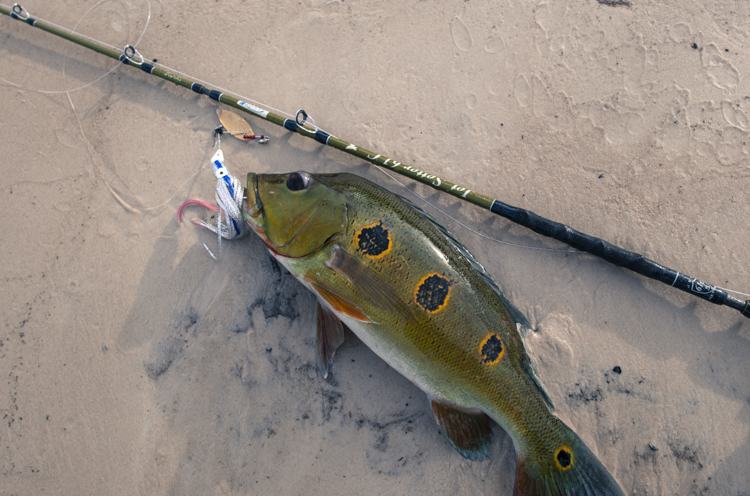 JetSlow×TULALA JetSetter 61C「冒険用品」