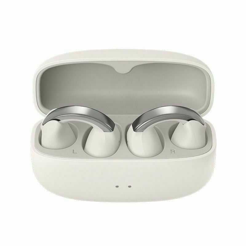 2週間お試し可能】ワイヤレスイヤホン HA-NP1T | JVCケンウッドストア