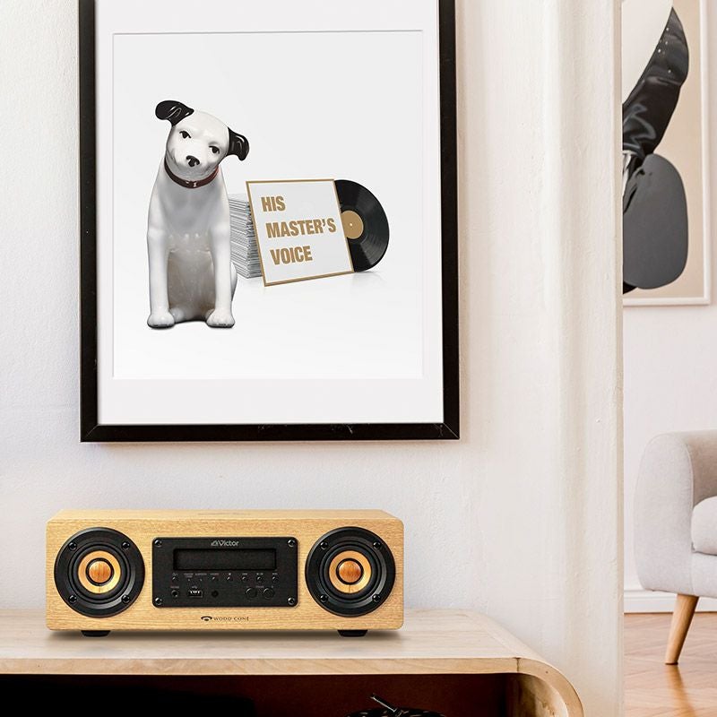 ワイヤレススピーカー EX-DM10 | JVCケンウッドストア