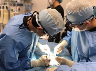 二次診療・夜間救急動物病院｜日本小動物医療センター｜埼玉県