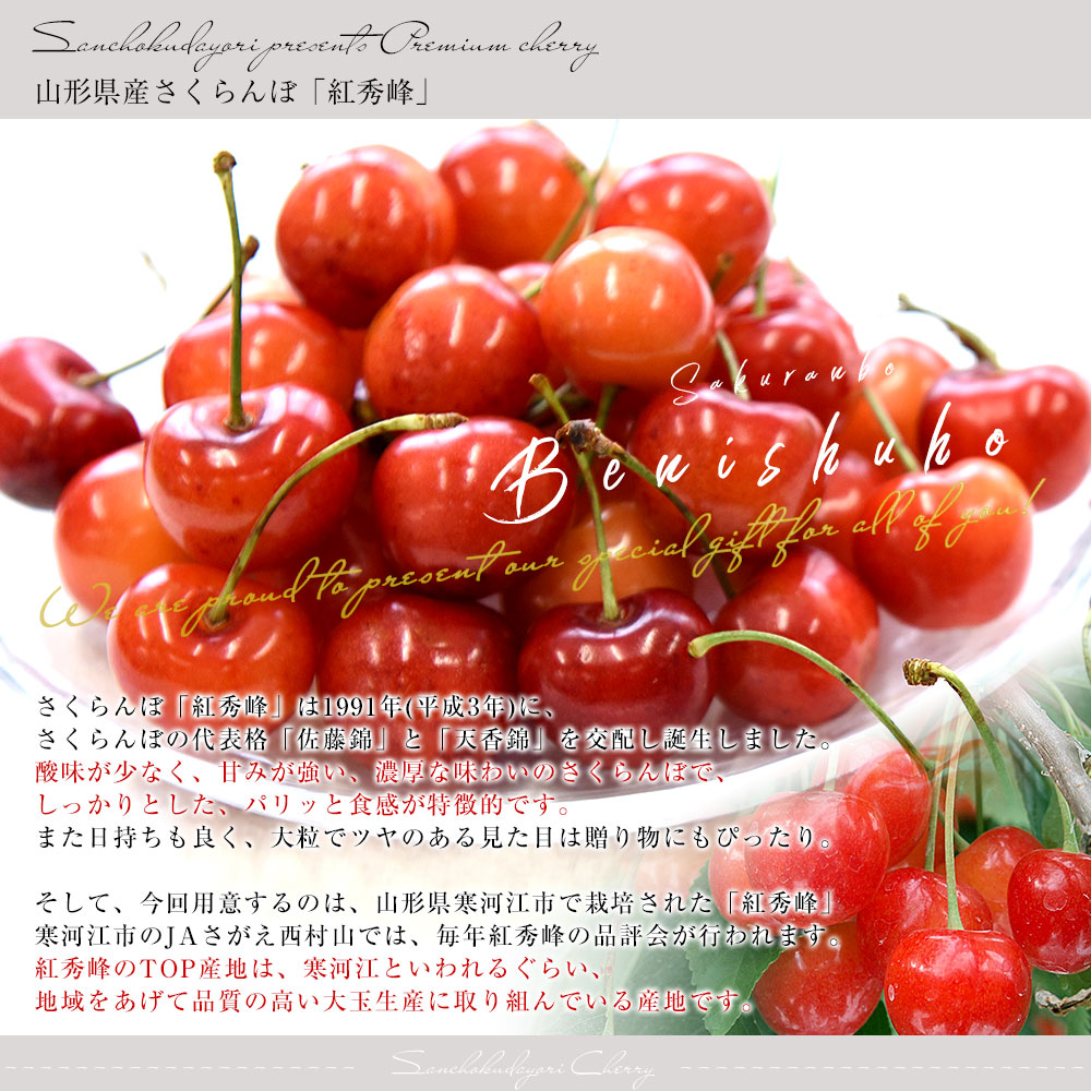 山形県 寒河江市産 さくらんぼ「紅秀峰」秀品Lサイズ以上 約400g(200g