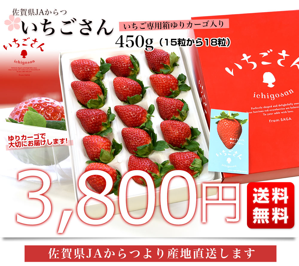 佐賀県より産地直送 JAからつ 新品種いちご いちごさん DX 450g 15粒