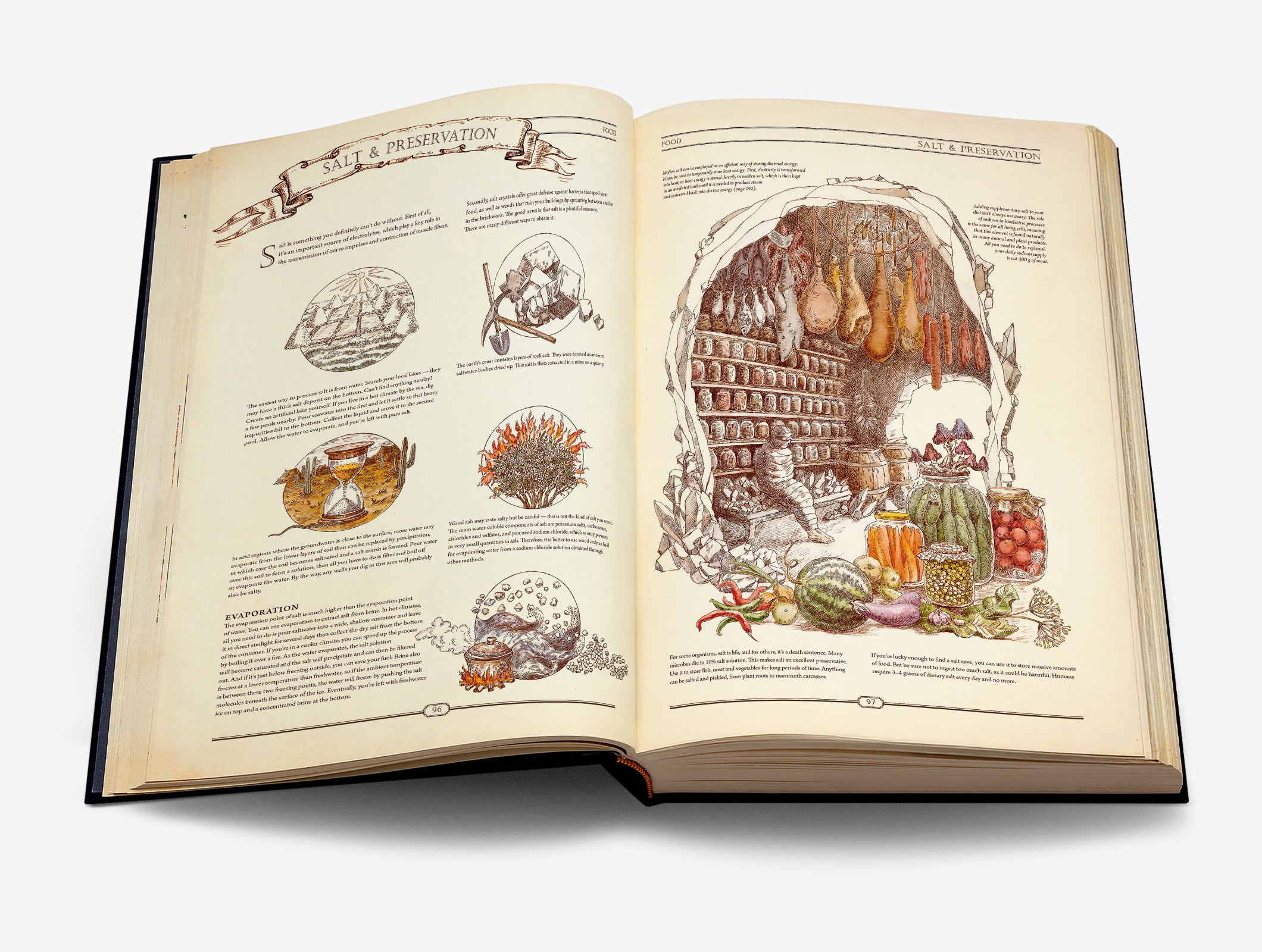 The Book: The Ultimate Guide to Rebuilding Civilization - Hungry Minds