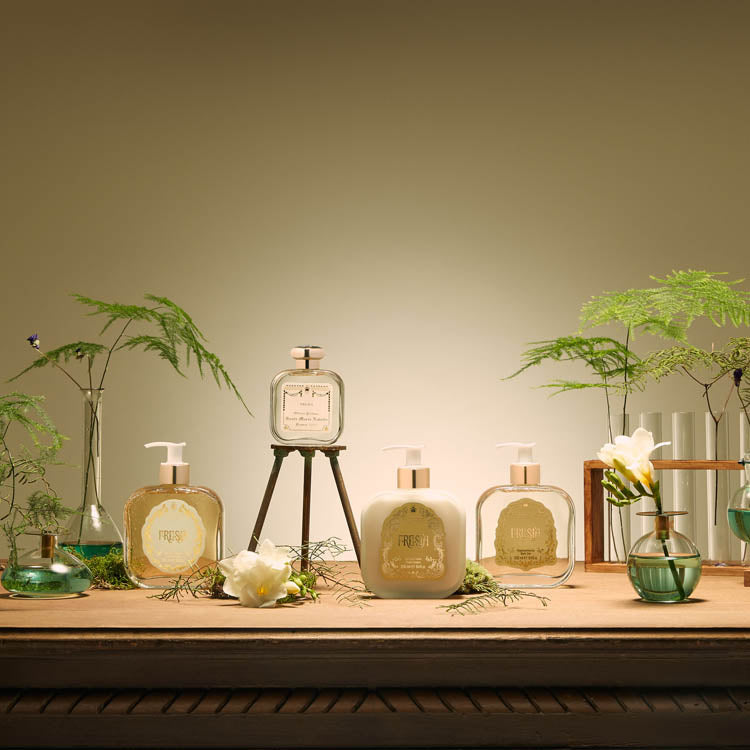 フリージア｜サンタ・マリア・ノヴェッラ