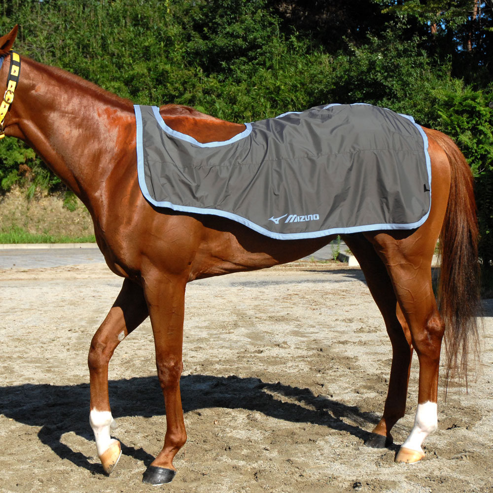 耐水素材】ベルグテックEX／雨天用エクササイズラグ （乗馬用