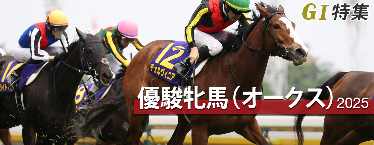 アイドルホース Sサイズ シーザリオ 優駿牝馬 オークス アイドルホース