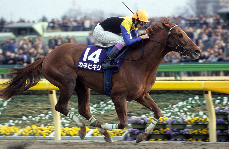 カネヒキリ｜名馬メモリアル｜競馬情報ならJRA-VAN
