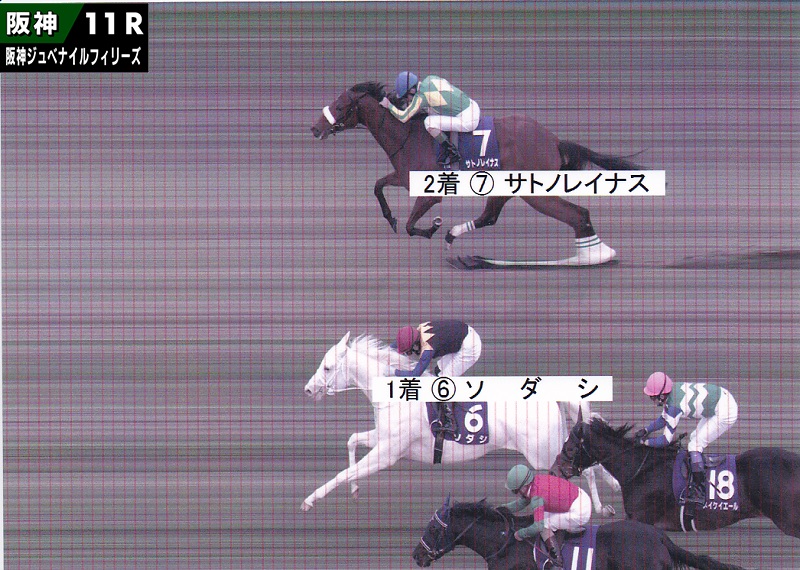 2020年 農林水産省賞典 阪神ジュベナイルフィリーズ JRA