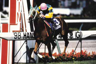 JRAホームページ｜データファイル｜競走成績データ