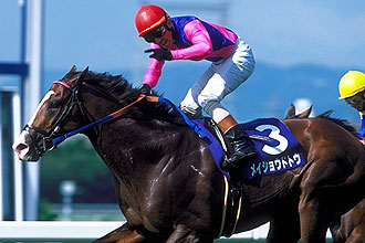 JRAホームページ｜データファイル｜競走成績データ