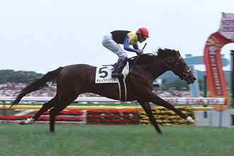 JRAホームページ｜データファイル｜競走成績データ