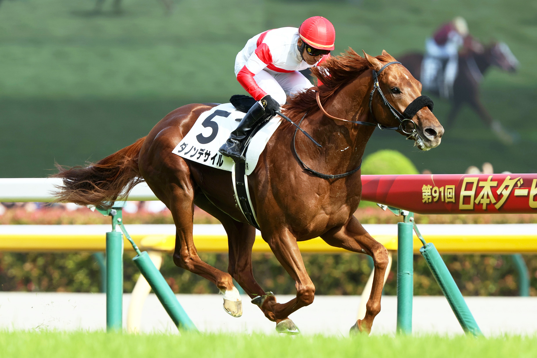 ダノンデサイル 2024 日本ダービー 出走馬ミニゼッケン ダノンデサイル