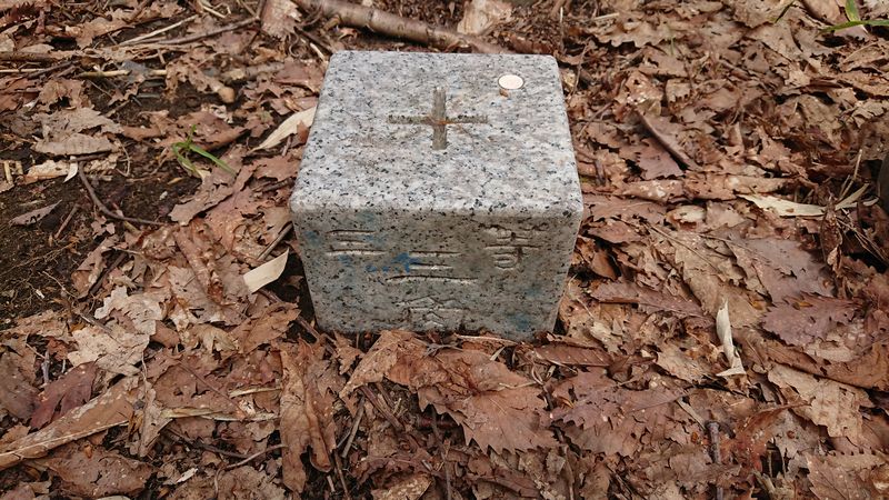 路傍の三角点探訪