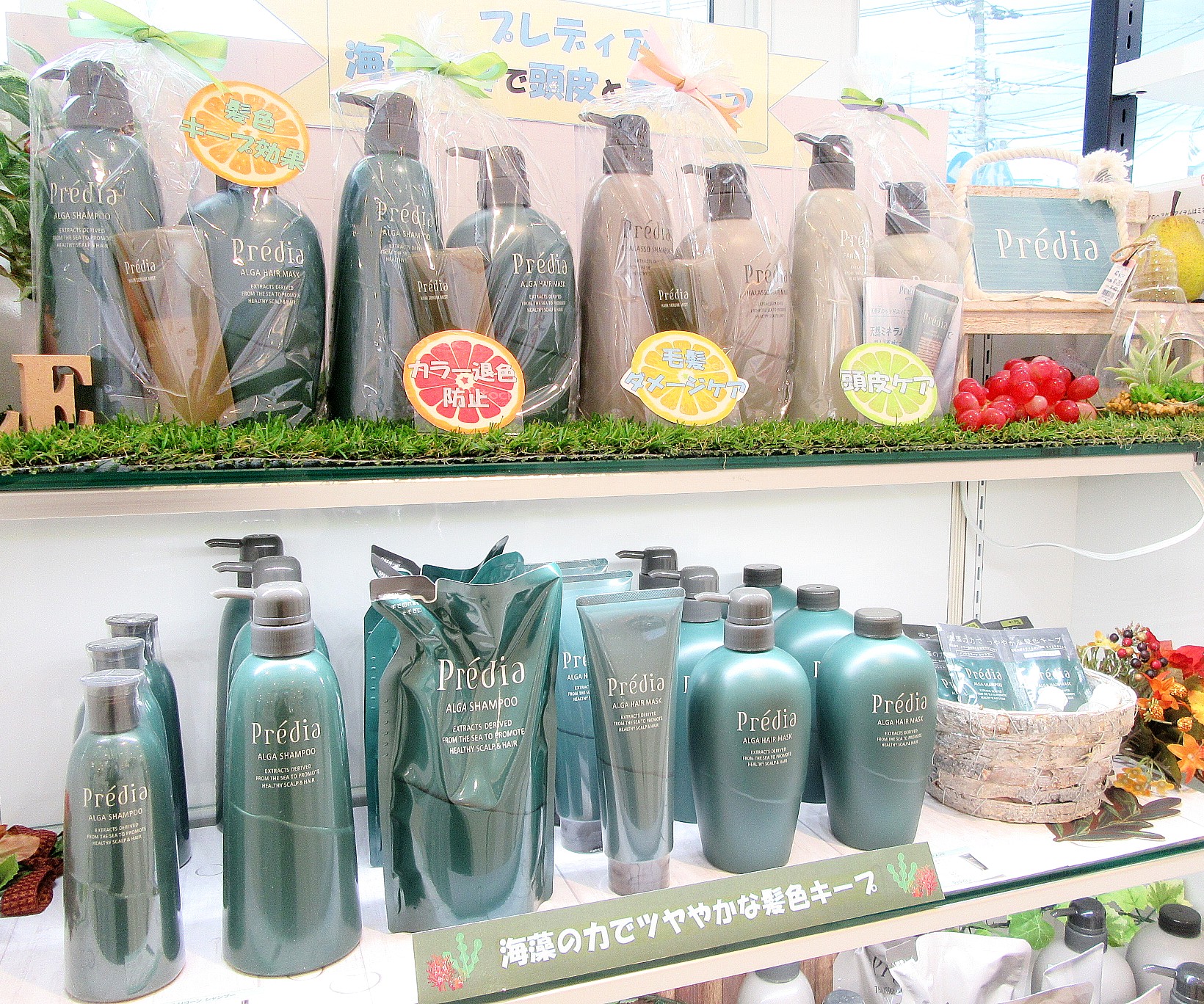 プレディア アルゲ カラーケア | ZAKKA & COSME じゅん TONAMI