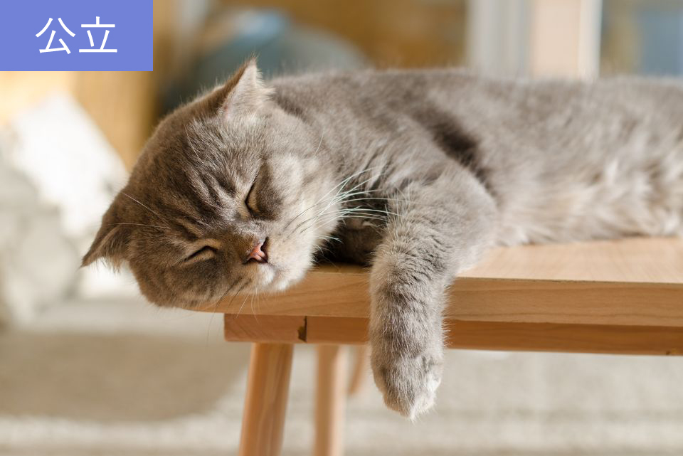 大阪公立大学（旧：大阪府立大学） 獣医学部 獣医学科の偏差値、学費