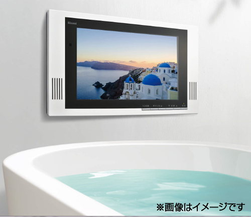 DS-1201HV(A)｜リンナイ地上デジタル浴室テレビ[12V型][地上デジタル