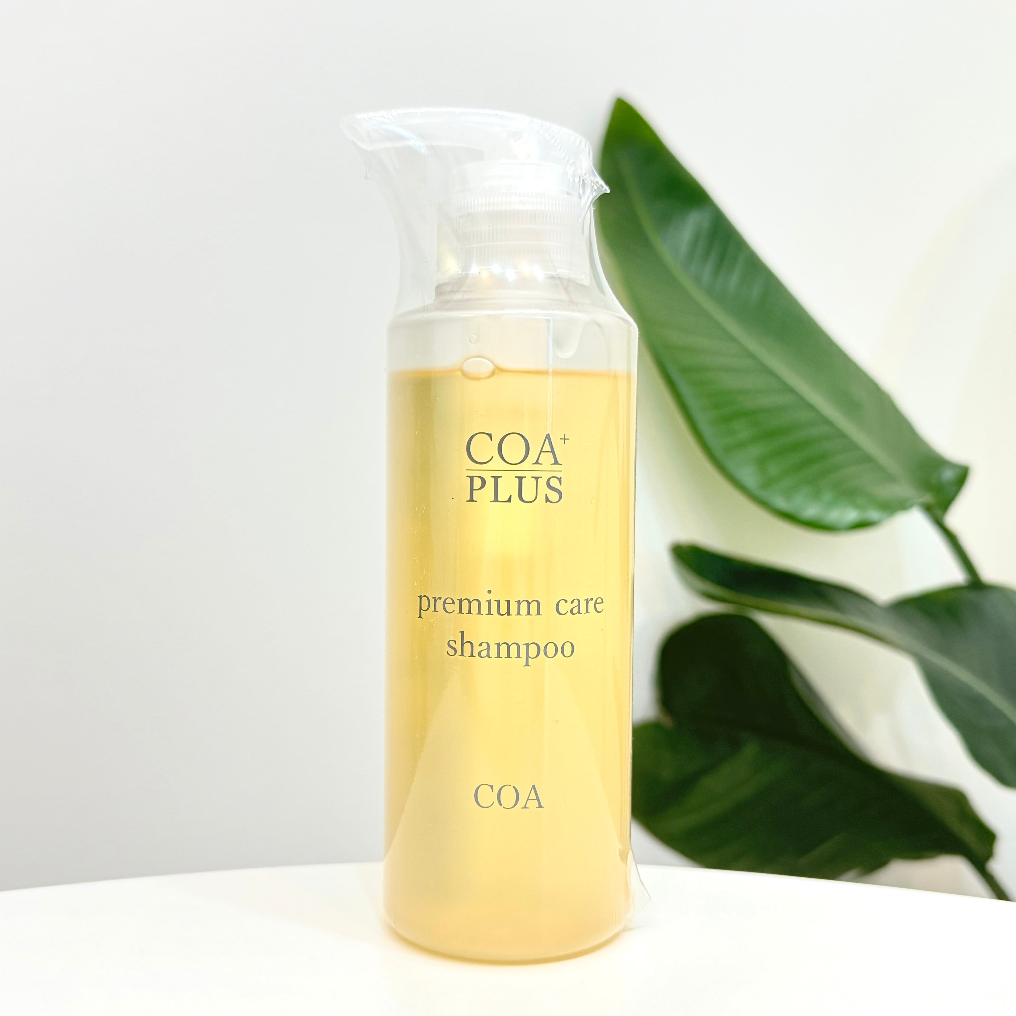 ナチュラルコンク3本 ファミコン シャンプーアップ ナチュラルコンク3