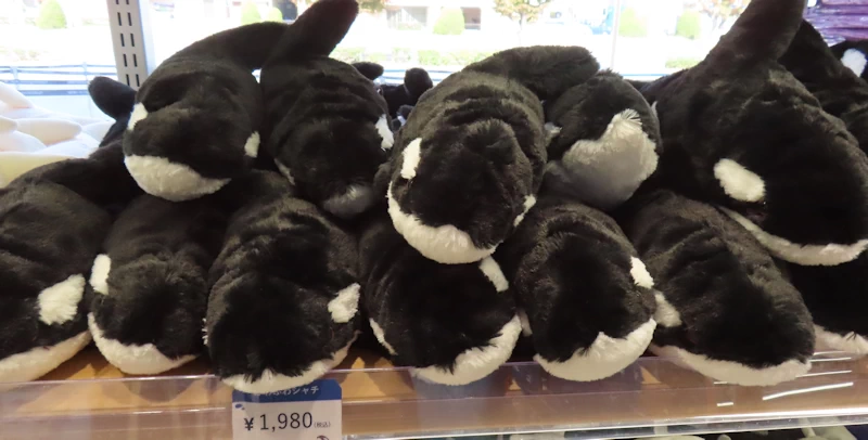 写真あり】須磨シーワールドのシャチぬいぐるみ全種類・価格一覧 | 60