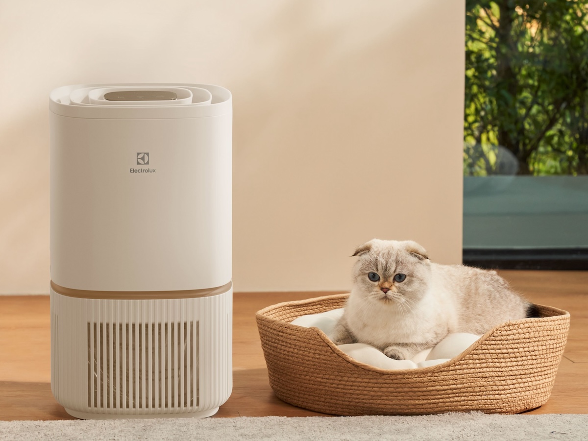 エレクトロラックス、花粉しっかり除去するコンパクト空気清浄機