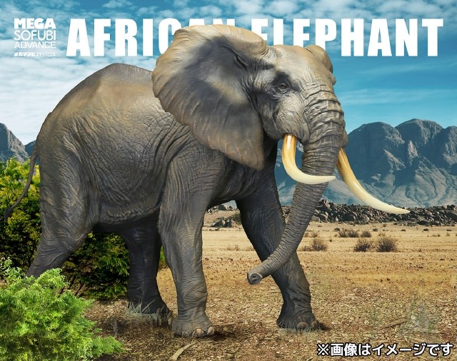 メガソフビアドバンス】 MSA-007 アフリカゾウ｜メガソフビアドバンス