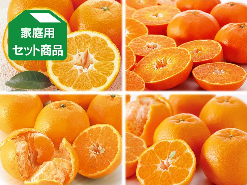 ベルガモット 約1kg 贈答用 | のま果樹園