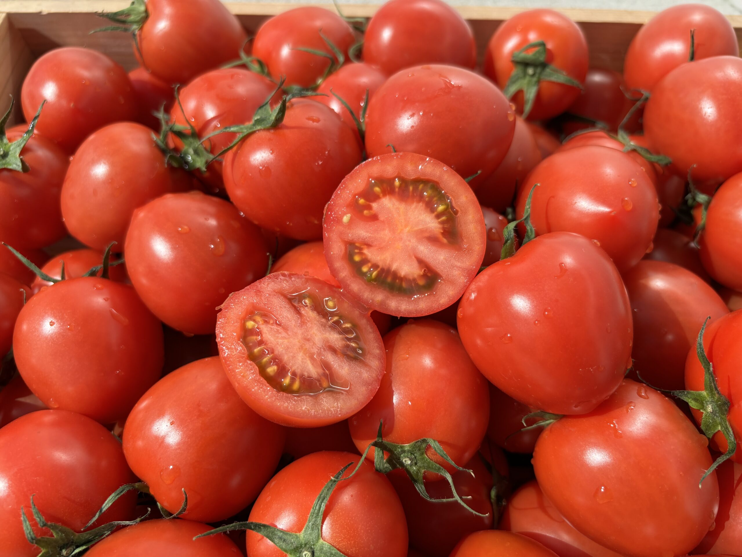 株式会社ゼブラグリーンズ｜加古川観光協会