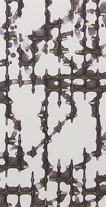 P*O様 未開封 名和晃平 ドローイング付き SYNTHESIS 作品集 図録 買*毒