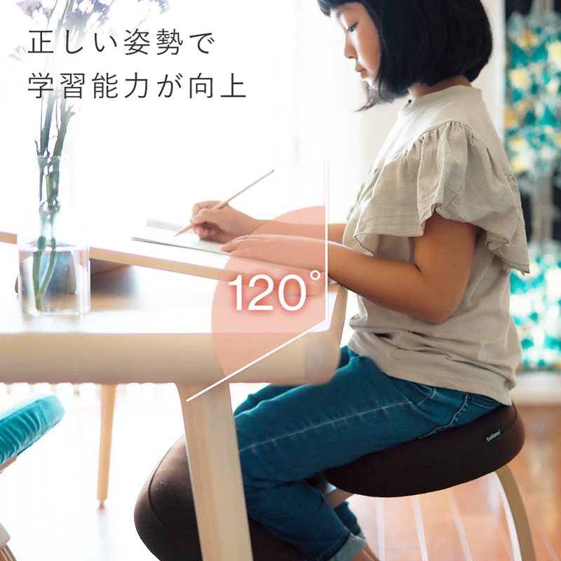 バランスラボ バランス イージー (通常フレーム) ラクに姿勢がよくなる