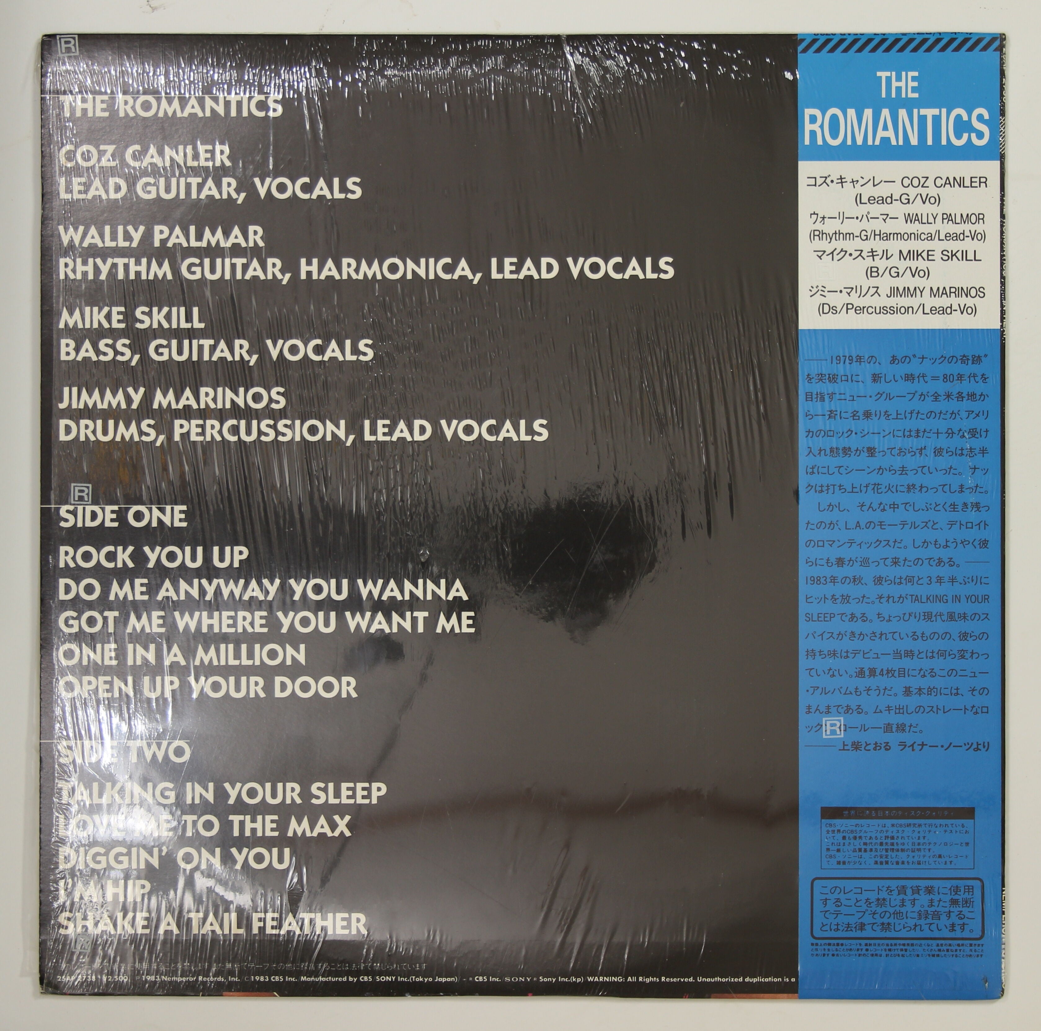 ロマンティックス / イン・ヒート – かすみレコード