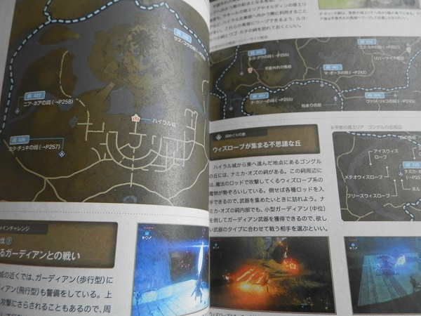 レビュー】ゼルダの伝説 ブレス オブ ザ ワイルド パーフェクトガイド