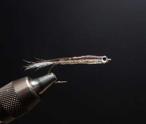 パールボディーFRY タイイング