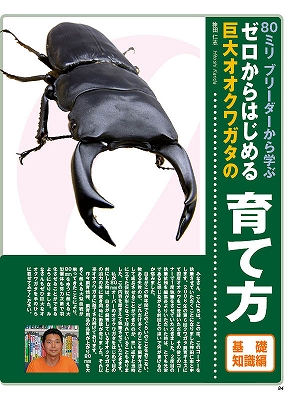 ビークワ47号（BE・KUWA） 日本のミヤマクワガタ大特集