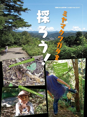 ビークワ47号（BE・KUWA） 日本のミヤマクワガタ大特集