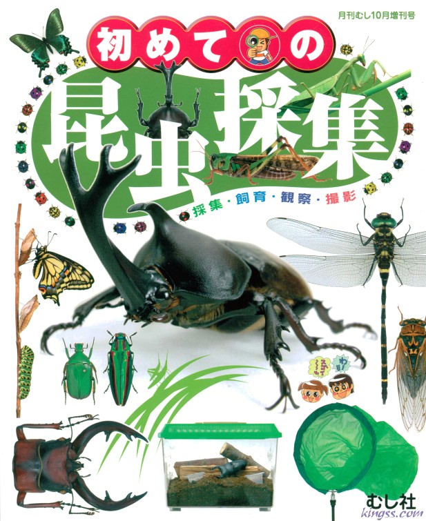 初めての昆虫採集の販売