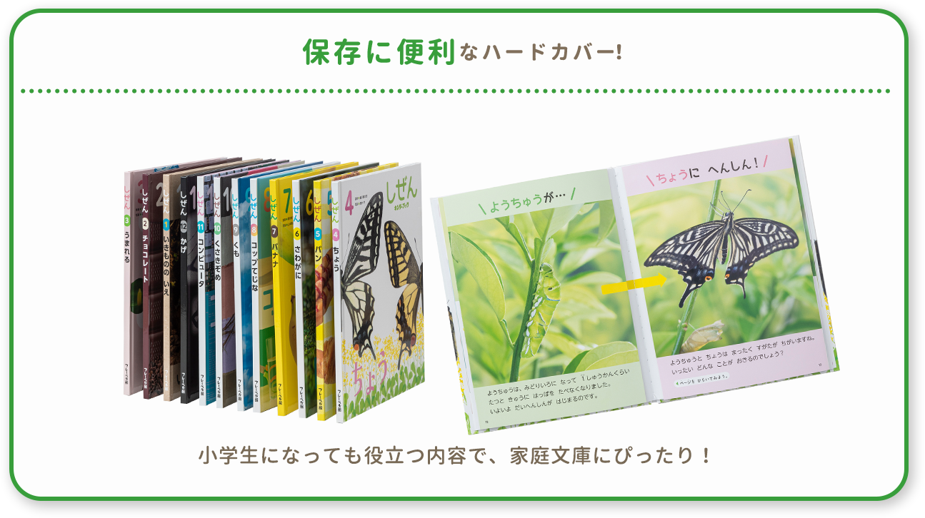 新年度 しぜん-キンダーブック - フレーベル館の月刊保育絵本