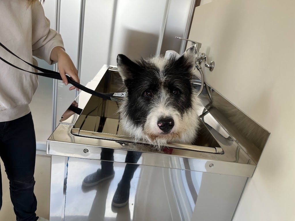 ドッグシェルター｜認定NPO法人 キドックス