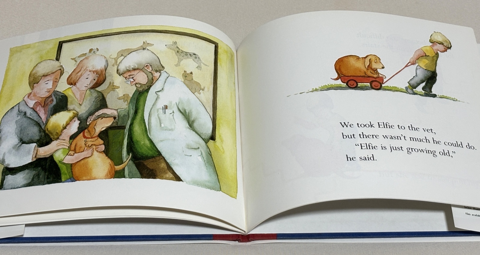 英語絵本】I'll Always Love You（ずっとずっとだいすきだよ）｜愛