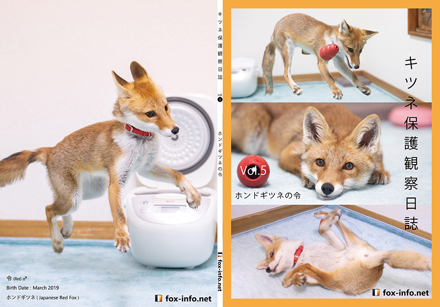 キツネ写真集「キツネ保護観察日誌」 Vol.5 -ホンドギツネの令- | 北