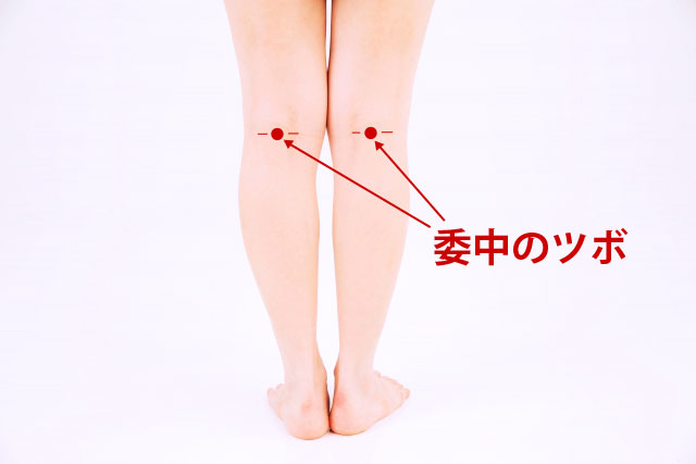 自分でできるツボ刺激（その1：委中） | 株式会社ユー 公式ホームページ