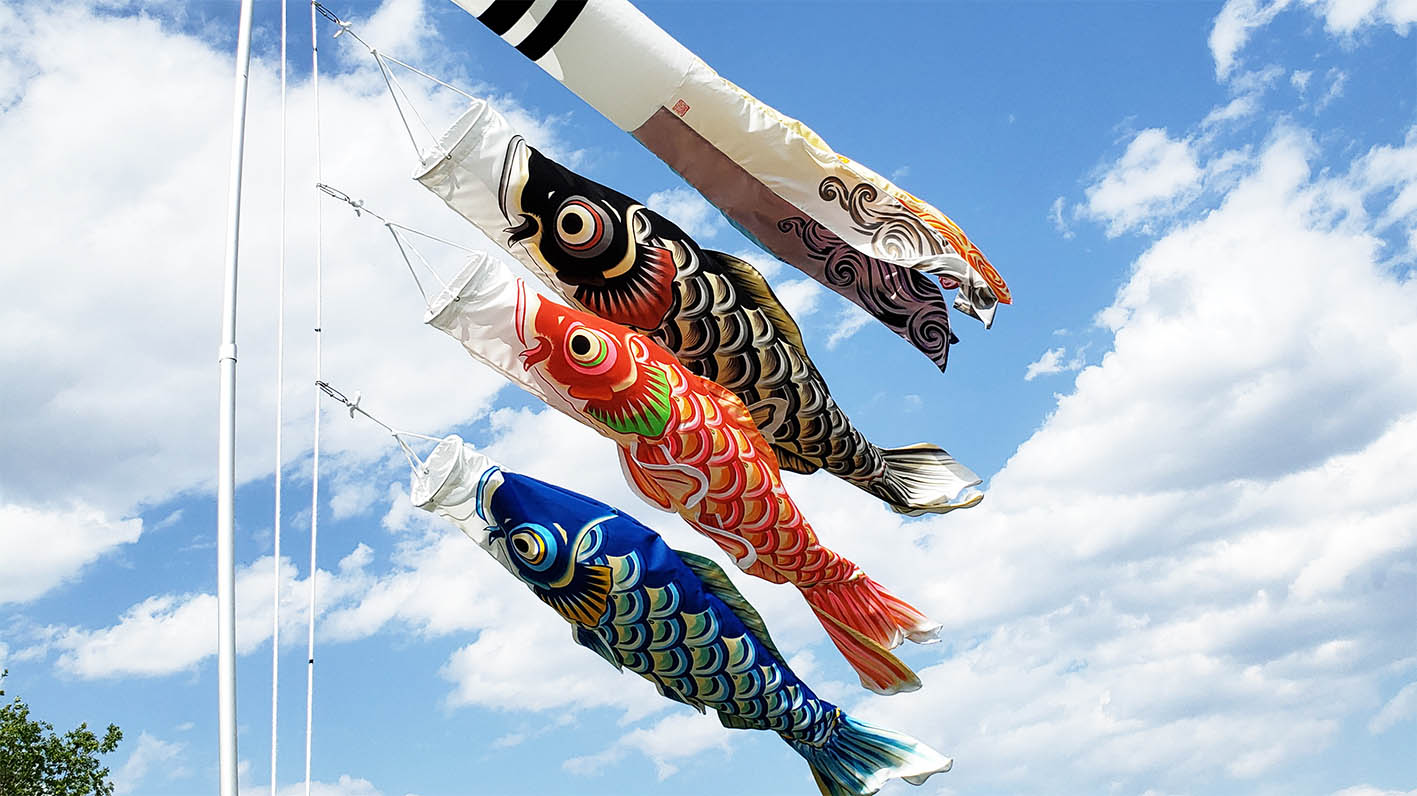 鯉のぼり こいのぼり フジサワ ナイロン青8m 鯉のぼり こいのぼり