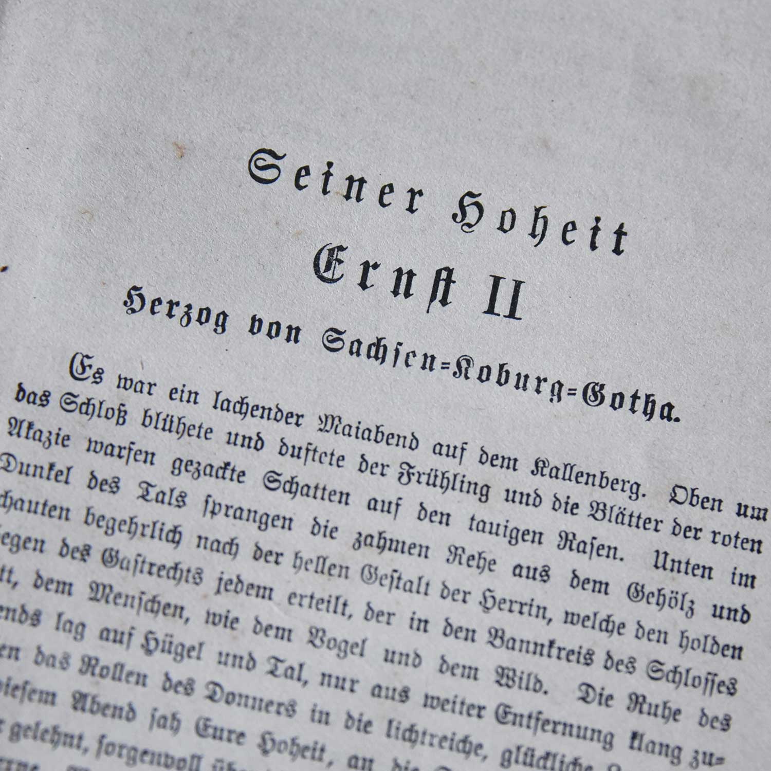 洋書 ドイツ語 Soll und haben 第1巻 .BK-90-1 – 神戸アンティーク